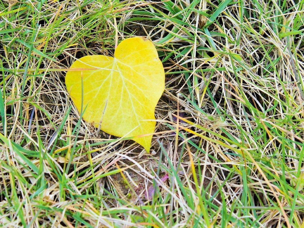 Agri Rio Villa Rio Salso Di Tavullia Eksteriør billede